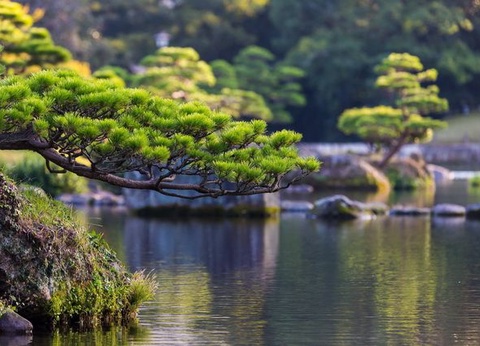 La Grande Traversée du Japon - 9