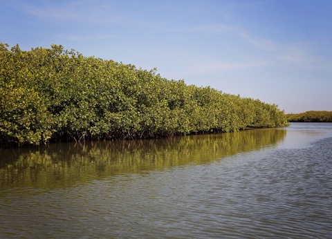 Circuit Sénégal, entre savane et plage du Framissima Riu Baobab ***** - 5