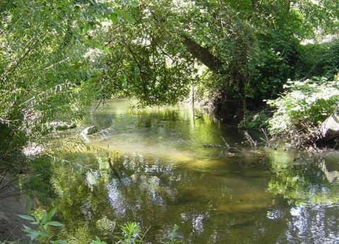 Camping Benista, 4* - 26