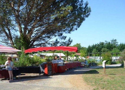 Camping Les Pins du Soleil, 4* - 14
