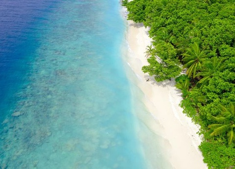 Circuit Merveilles du Sri Lanka et Extension Fihalhohi Island 4* Maldives - 19