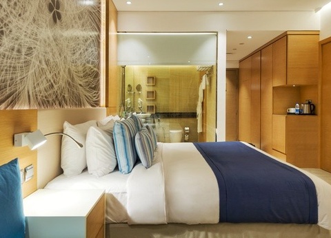 Hôtel Fram Sélection Royal Central The Palm ***** - 5