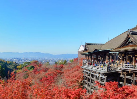 Circuit Traditions et culture du Japon 3* - 20