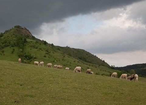 Ushuaia Villages Port de Lacombe, 3* - 85