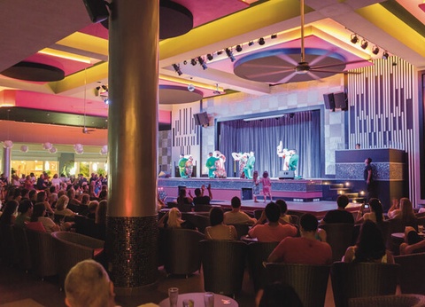 Hôtel Riu Playacar ***** - 17