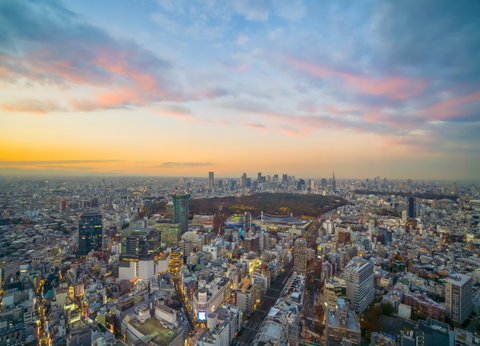 Circuit Au Coeur du Japon, Authentique et Insolite et extension Tokyo - 29