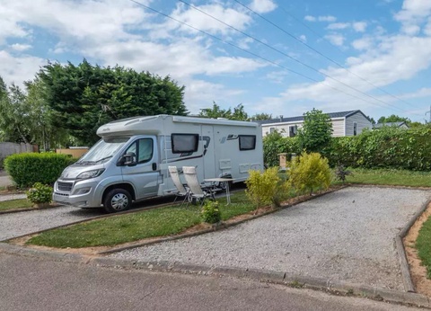 Flower Camping Vitamin, 4* - 26