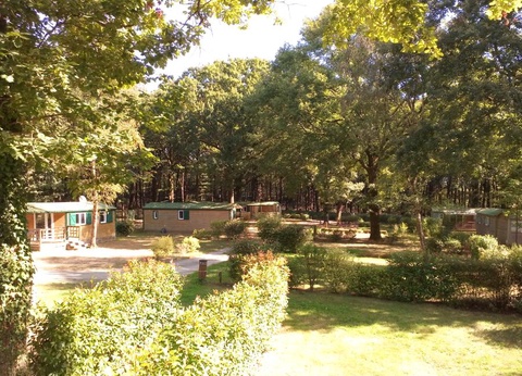 Camping OAKi, 3* - 21