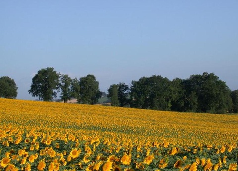 Camping Du Lac de Thoux - Ciela Village, 3* - 43