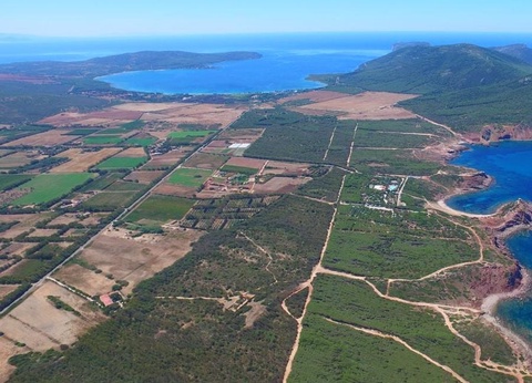 Camping Torre del Porticciolo, 4* - 77