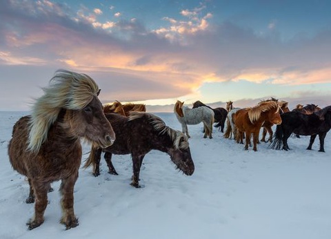 Circuit Merveilles de l'Islande En Hiver - 8J/7N - 2026 - 10