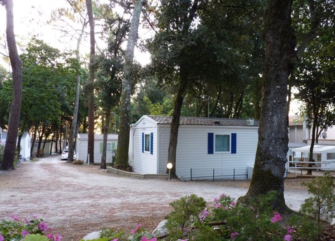 Camping Les Chênes Verts, 3* - 10