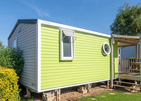 Flower Camping Vitamin, 4* - 28