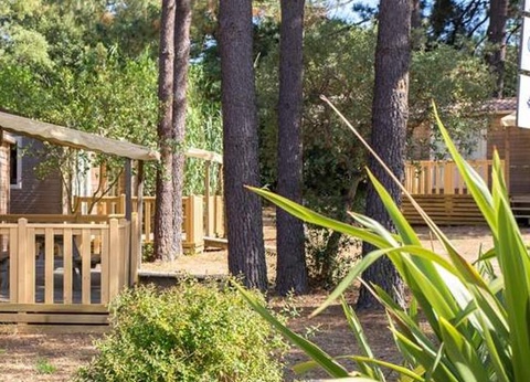 Camping Campo di Mare, 3* - 44