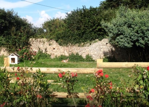 Camping La Ferme du Bord de Mer - 17