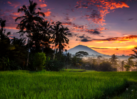 Circuit Lotus de Bali et Plage - 19