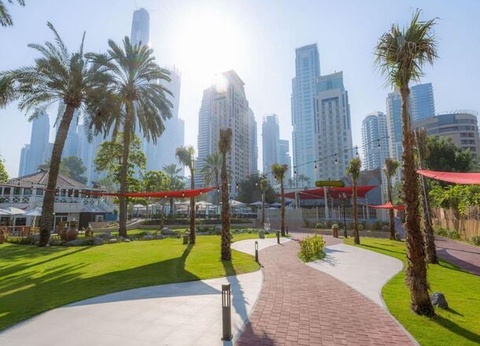 Hôtel Habtoor Grand Beach 5* - 14