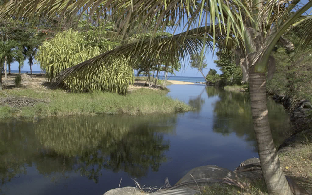 Résidence Hôtelière Fleurs des Iles 2* - 14