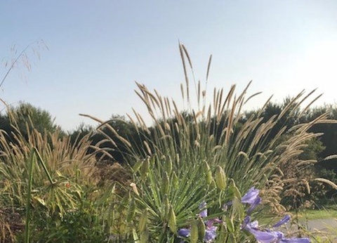 Camping Ty Nenez, 3* - 91