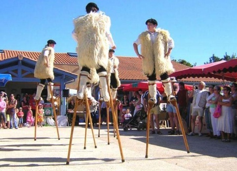 Camping Lou P'tit Poun, 4* - 23