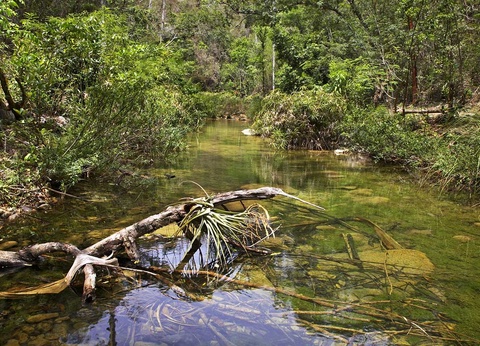 Circuit Mosaïques Cubaines - 19