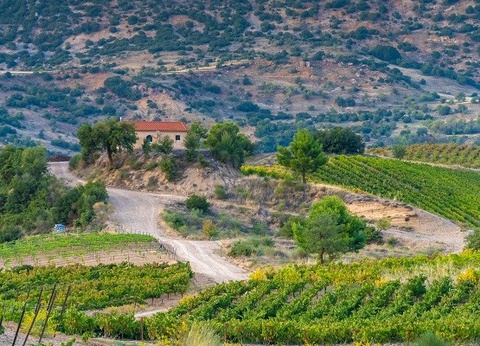 Circuit Grand Tour de Grèce (en petit groupe) 4* - 13