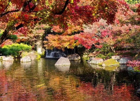Samourais et Jardins zen - Japon - 20