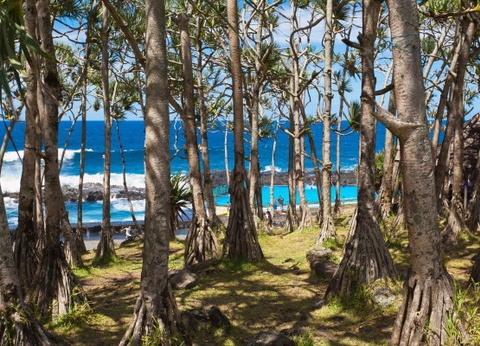 Autotour Sur les Routes de La Réunion *** - 10