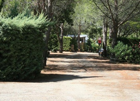 Camping L'oliveraie, 3* - 47