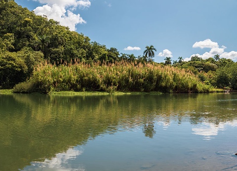 Combiné Ôcity Xperience Mélia La Habana 5* & Paradisus Princesa del Mar 5*Adult Only by Ôvoyages - 10