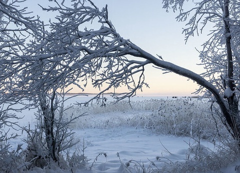 La Magie de Noël au Coeur de la Laponie Suédoise - 25
