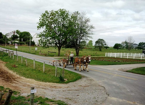 Circuit Clin d'oeil à l'Est - 2