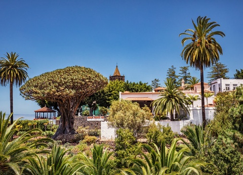 Circuit Trésors des Canaries 3* - 13