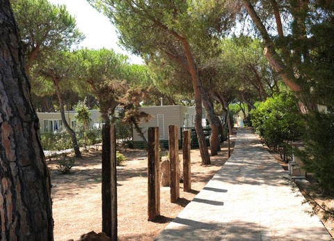 Camping Torre del Porticciolo, 4* - 225