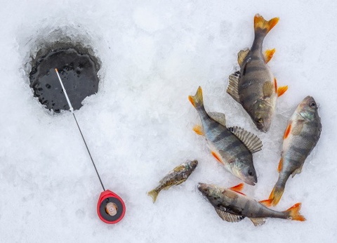 Club Jumbo First Village (activités incluses) - 9