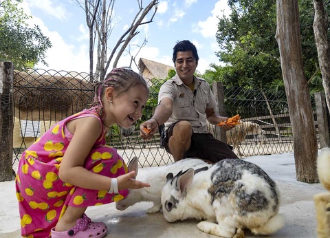 Club Lookéa Sandos Caracol Nature Resort - Vols Air France **** - 50