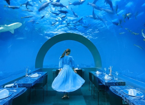 Hôtel You & Me Maldives 5* - 8