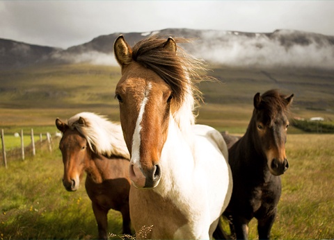 Autotour Entre glaciers et aurores boréales - 22
