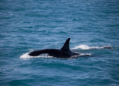 City Break 4 nuits - Découvertes boréales by Ôvoyages - 8