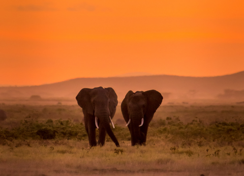 Circuit Lumières de la Savane Africaine - 6