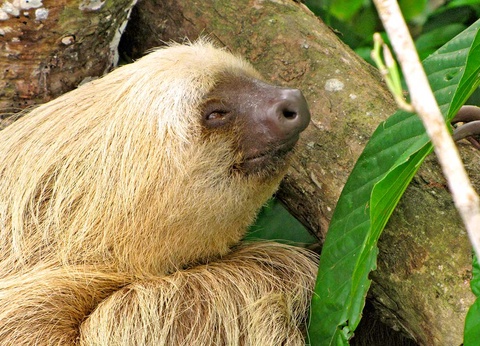 Circuit Costa Rica Autrement - 8