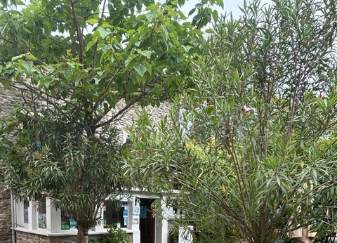 Camping Le Pradal, 4* - 16