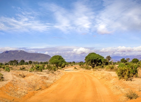 Hôtel Jumbo resort Watamu 4* et Safari 2 nuits - 2