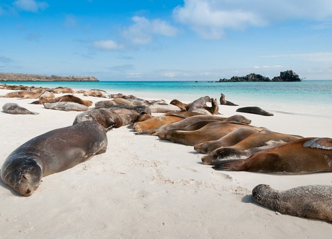 Circuit Trésors de l'Equateur et des Galapagos - 12