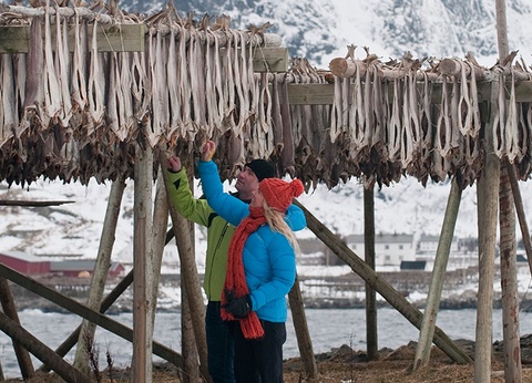 Circuit La Laponie : l'hiver lui va comme un gant! - 8