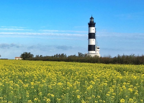 Camping Barataud 3* - 33