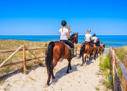 Hôtel Beach Club 3* - 19