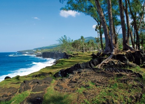 Circuit Beautés de la Réunion, logement aux Aigrettes ** - 4