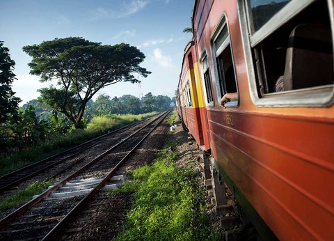 Circuit Découverte du Sri Lanka - 13