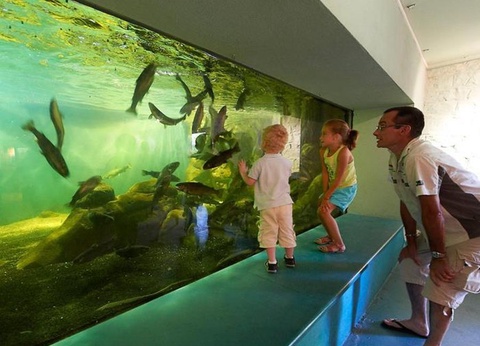 Camping Ty Nenez, 3* - 162